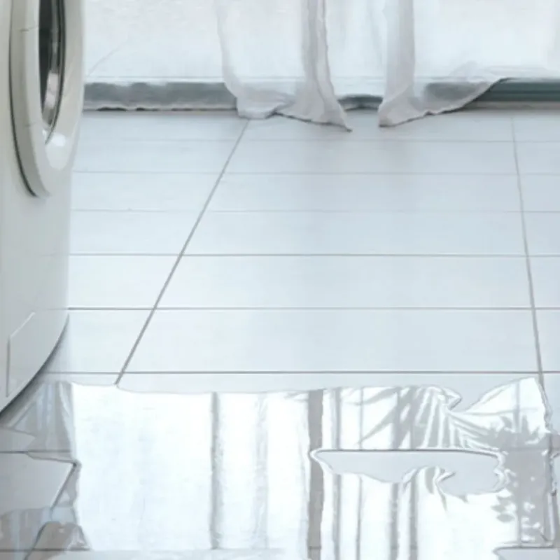 Appliance Leak Cleanup in Hopkins County, TX