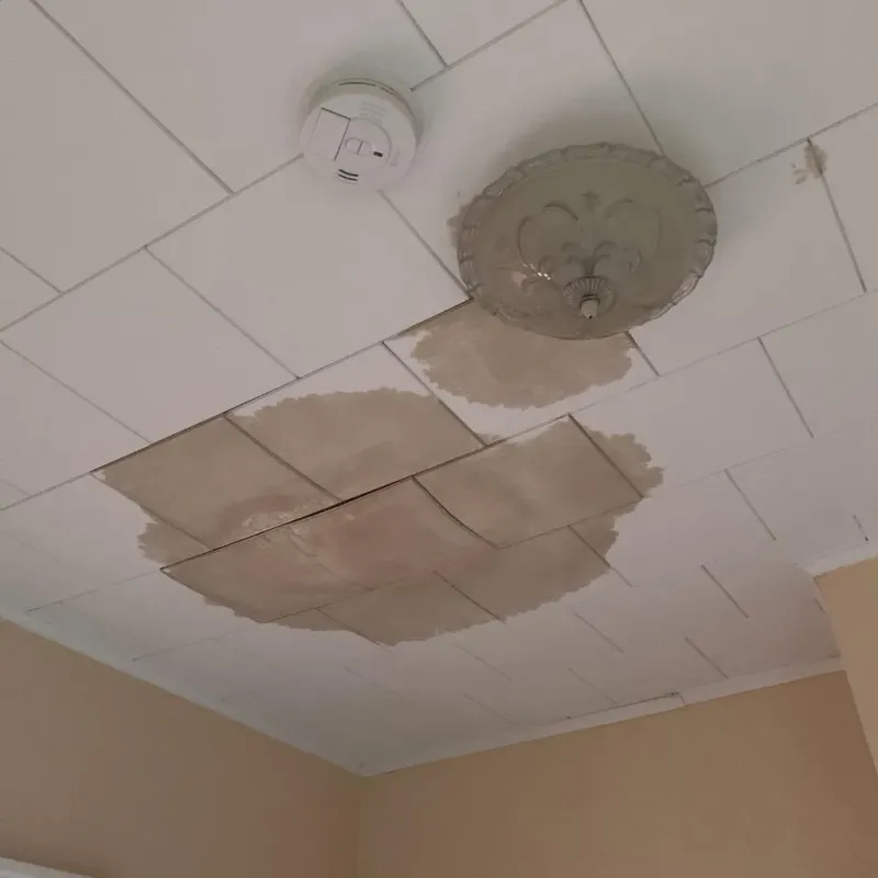 Ceiling Water Damage Repair in Hopkins County, TX