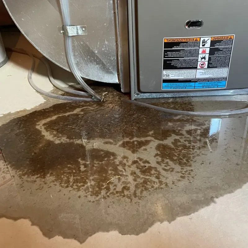 Pipe Burst and Leak Restoration in Hopkins County, TX