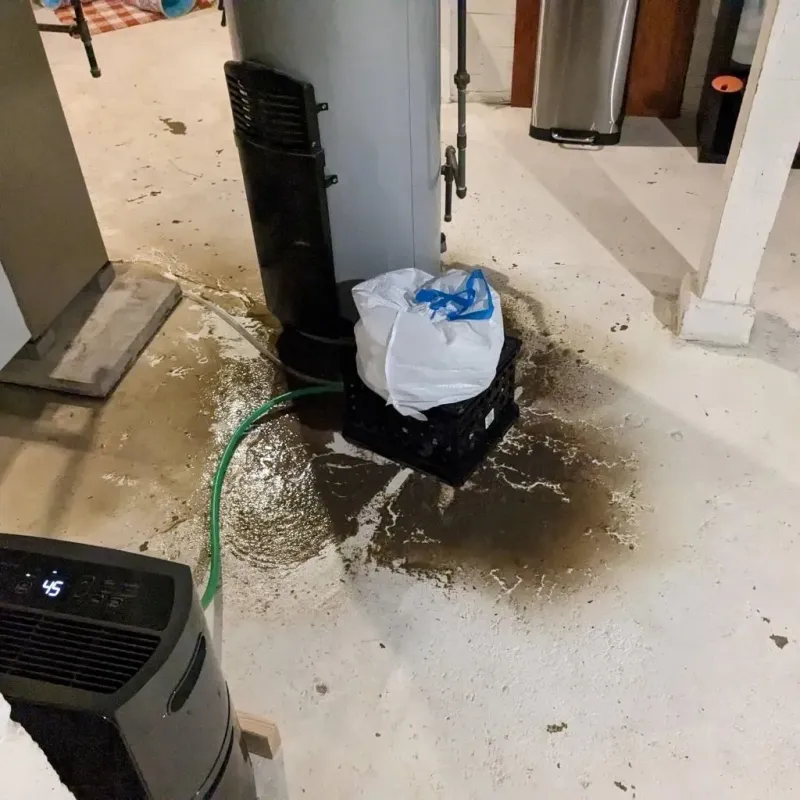 Sewage Backup Cleanup Service in Hopkins County, TX